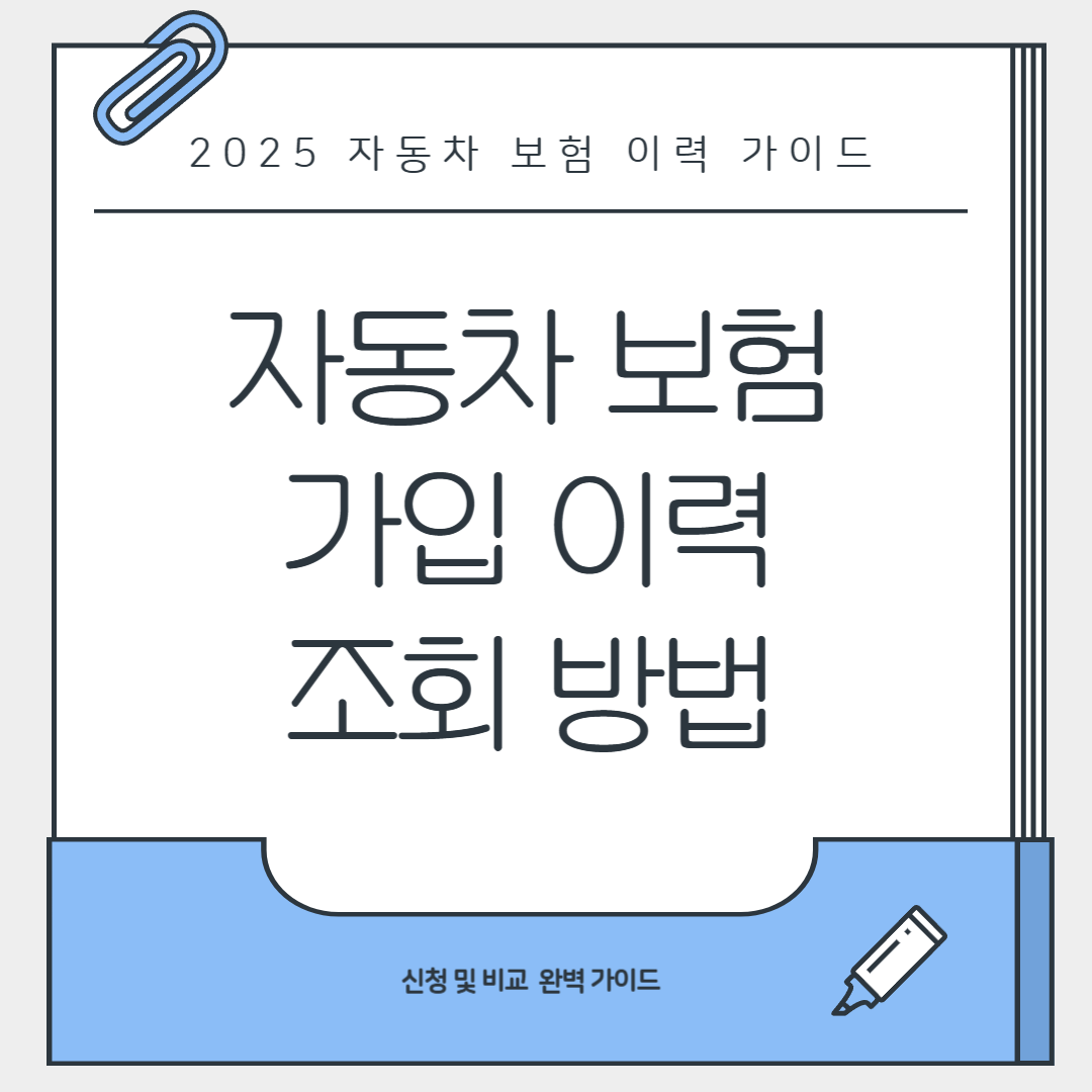 자동차 보험 가입 이력 조회