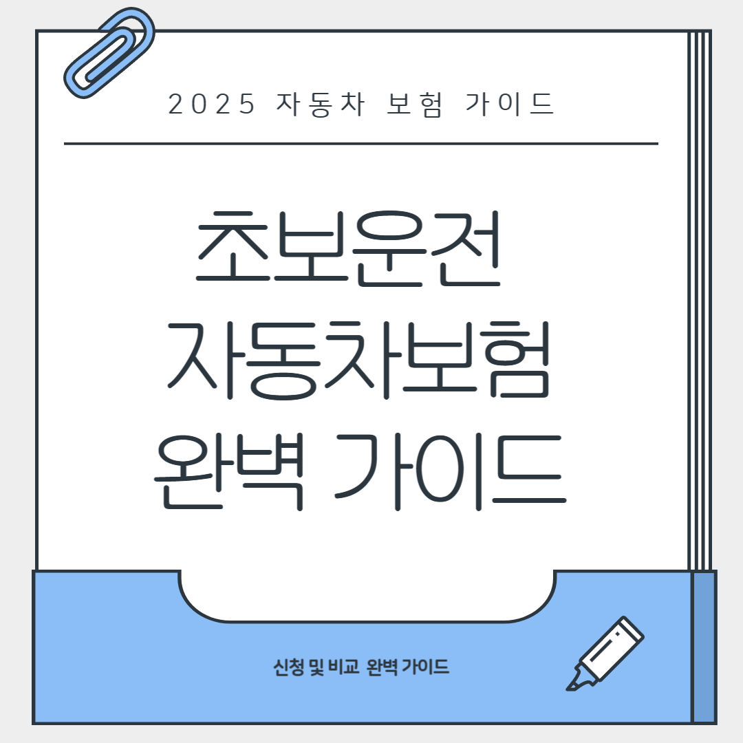 초보운전 자동차보험