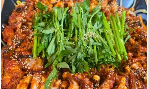 생생정보통 맛집 맞수다 해물연포탕 철판 낙지볶음 식당